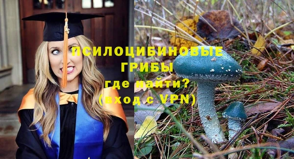 тгк Балахна