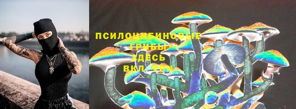 таблы Белокуриха