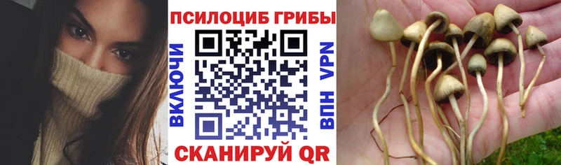 гидра tor Бийск Псилоцибиновые грибы мухоморы